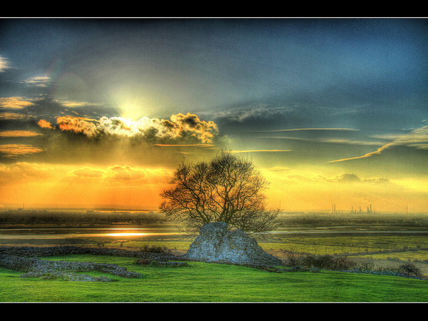 Arbre,tree,scenery