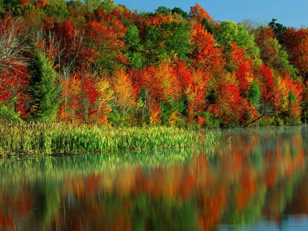 automne,paysage,couleurs
