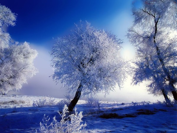 paysage hiver
