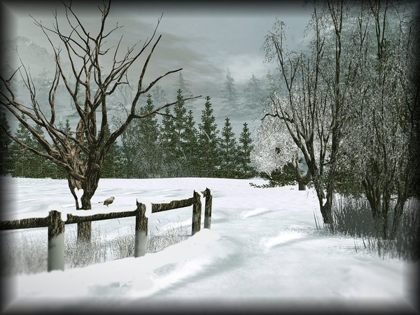 FE ,paysage, hiver